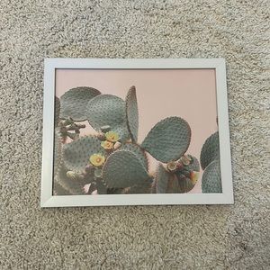 Cactus picture!